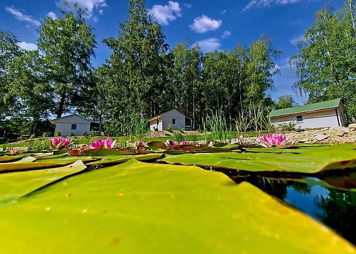 Obora Chalet Lanškroun